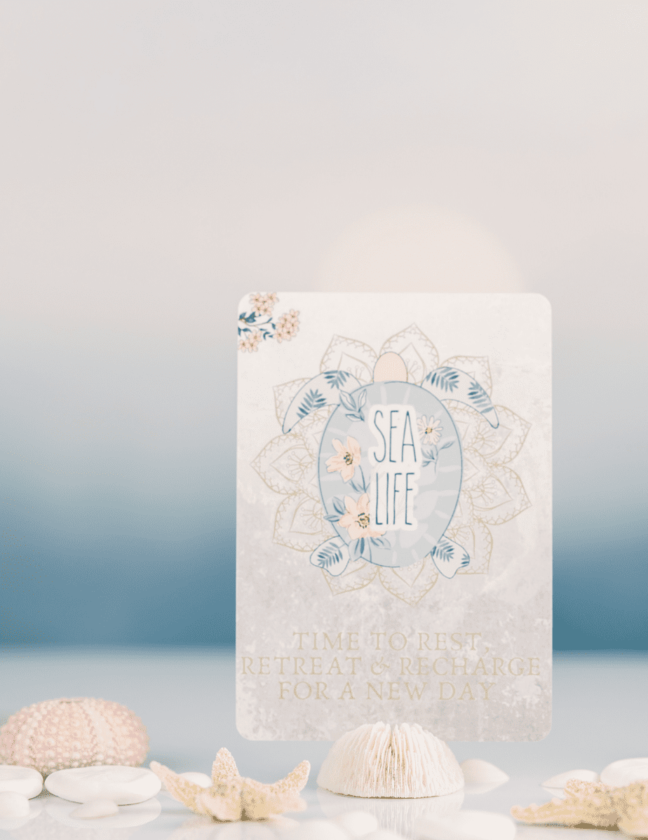 What are oracle cards?