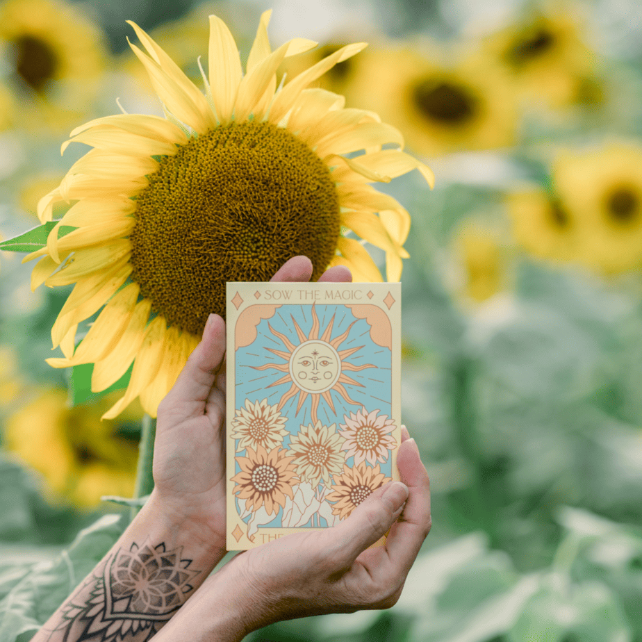 An oracle card being held in a field of sunflowers